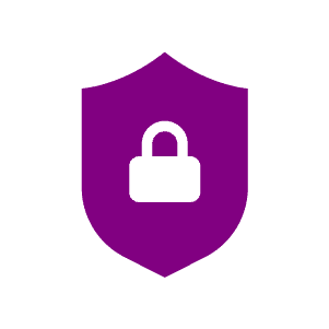 padlock in center of shield icon
